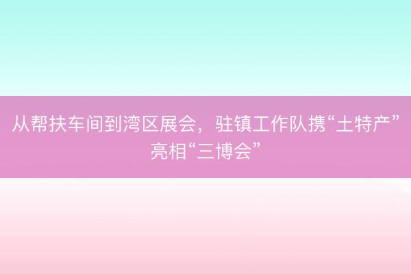 从帮扶车间到湾区展会，驻镇工作队携“土特产”亮相“三博会”