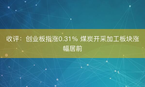 收评：创业板指涨0.31% 煤炭开采加工板块涨幅居前