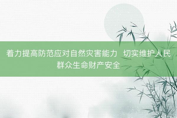着力提高防范应对自然灾害能力  切实维护人民群众生命财产安全