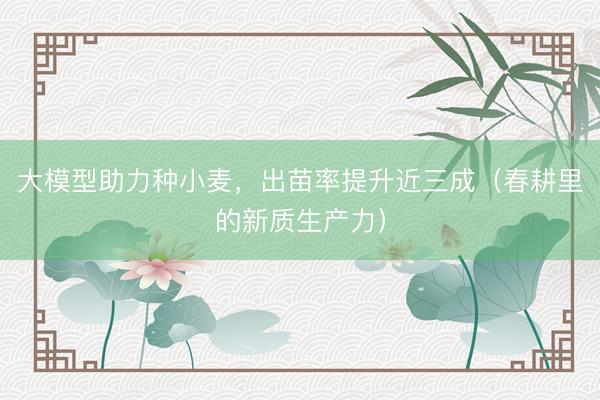 大模型助力种小麦，出苗率提升近三成（春耕里的新质生产力）