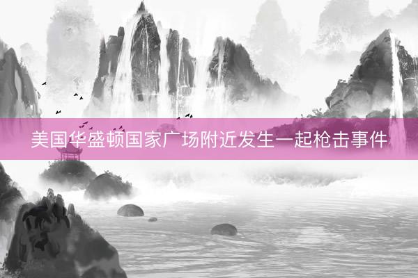 美国华盛顿国家广场附近发生一起枪击事件