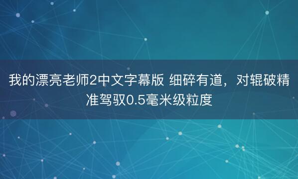 我的漂亮老师2中文字幕版 细碎有道，对辊破精准驾驭0.5毫米级粒度