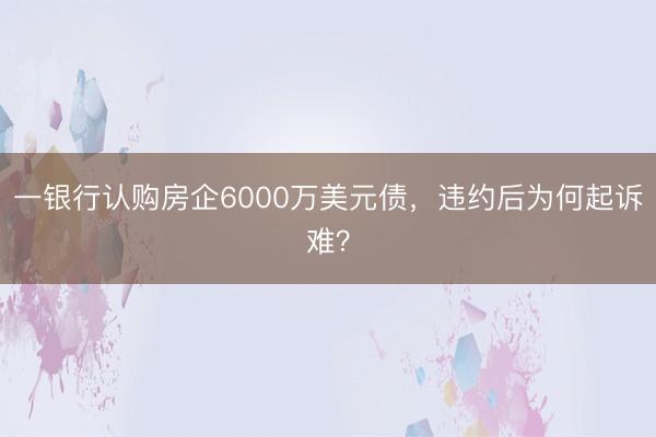 一银行认购房企6000万美元债，违约后为何起诉难？