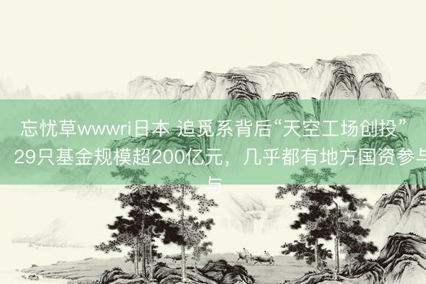 忘忧草wwwri日本 追觅系背后“天空工场创投”:29只基金规模超200亿元,几乎都有地方国资参与