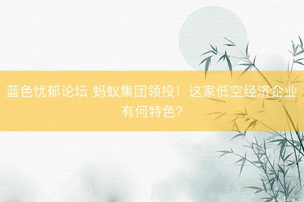 蓝色忧郁论坛 蚂蚁集团领投！这家低空经济企业有何特色？