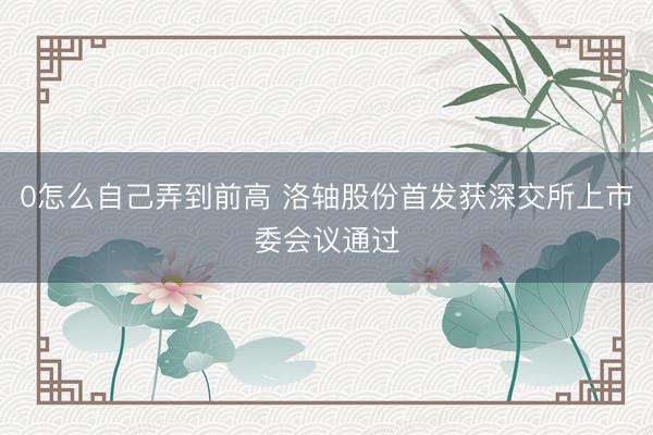 0怎么自己弄到前高 洛轴股份首发获深交所上市委会议通过