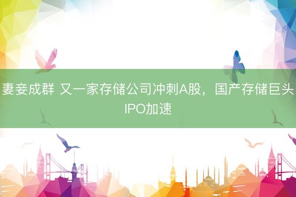 妻妾成群 又一家存储公司冲刺A股，国产存储巨头IPO加速
