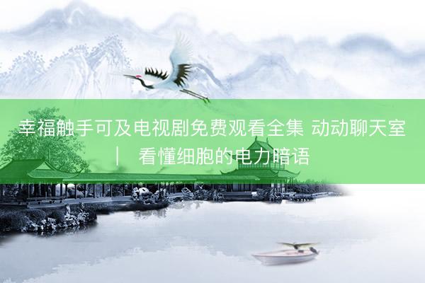 幸福触手可及电视剧免费观看全集 动动聊天室 | 看懂细胞的电力暗语