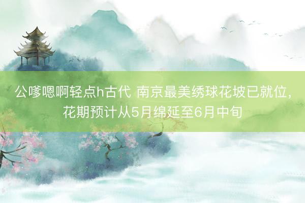 公嗲嗯啊轻点h古代 南京最美绣球花坡已就位，花期预计从5月绵延至6月中旬