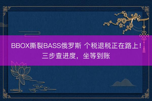 BBOX撕裂BASS俄罗斯 个税退税正在路上！三步查进度，<a href=