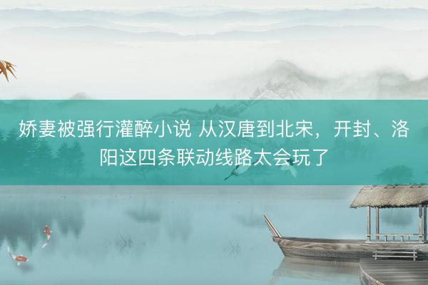 娇妻被强行灌醉小说 从汉唐到北宋，开封、洛阳这四条联动线路太会玩了
