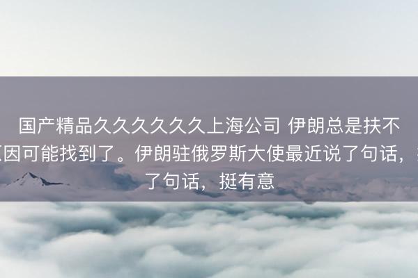 国产精品久久久久久久上海公司 伊朗总是扶不起的原因可能找到了。伊朗驻俄罗斯大使最近说了句话,挺有意
