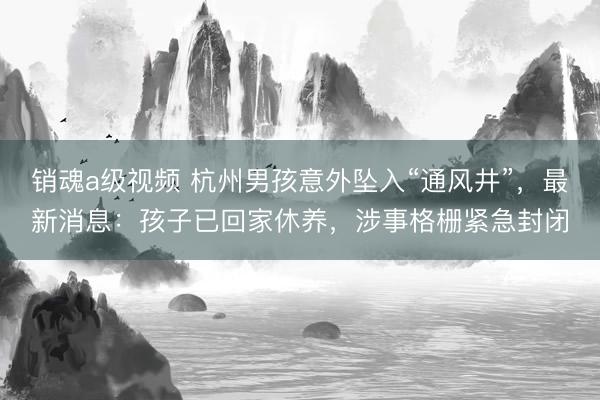 销魂a级视频 杭州男孩意外坠入“通风井”，最新消息：孩子已回家休养，涉事格栅紧急封闭