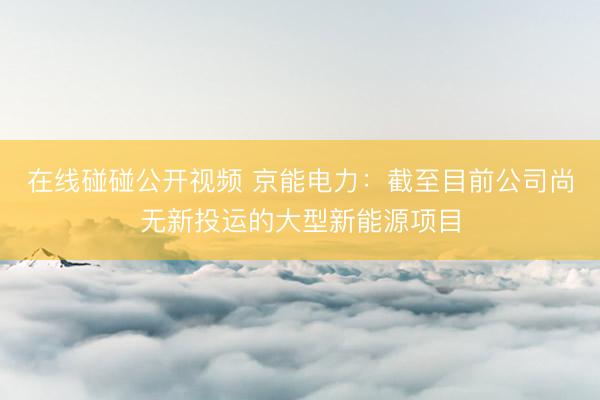 在线碰碰公开视频 京能电力：截至目前公司尚无新投运的大型新能源项目