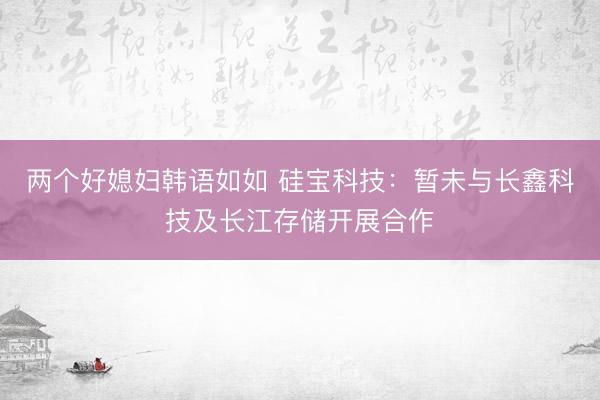 两个好媳妇韩语如如 硅宝科技：暂未与长鑫科技及长江存储开展合作