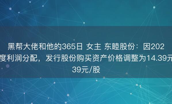 黑帮大佬和他的365日 女主 东睦股份：因2025年度利润分配，发行股份购买资产价格调整为14.39元/股