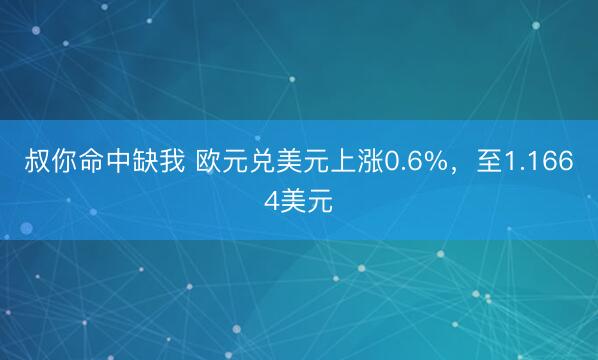 叔你命中缺我 欧元兑美元上涨0.6%，至1.1664美元