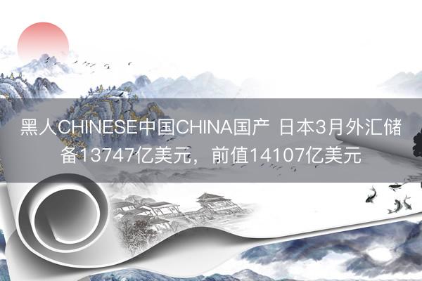 黑人CHINESE中国CHINA国产 日本3月外汇储备13747亿美元，前值14107亿美元