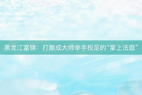 黑龙江富锦：打酿成大师举手投足的“掌上法庭”