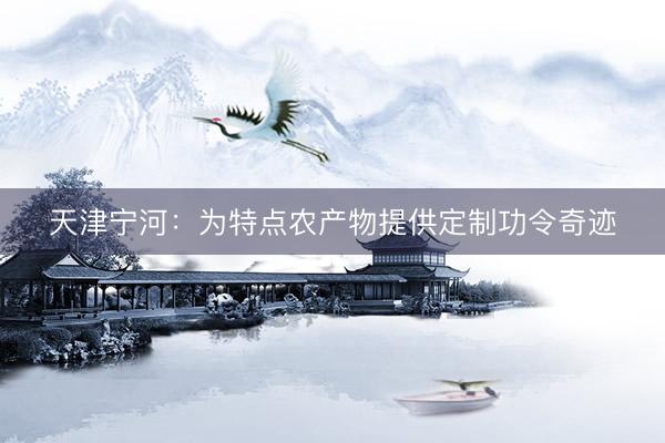 天津宁河：为特点农产物提供定制功令奇迹