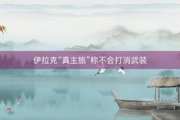 伊拉克“真主旅”称不会打消武装