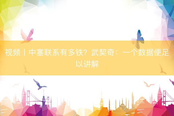 视频丨中塞联系有多铁？武契奇：一个数据便足以讲解