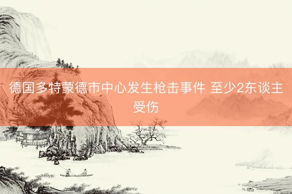 德国多特蒙德市中心发生枪击事件 至少2东谈主受伤