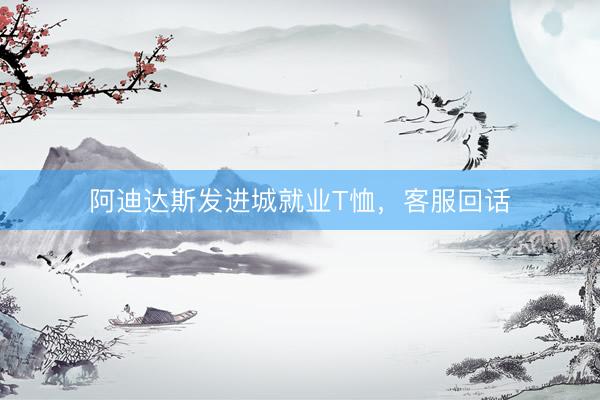 阿迪达斯发进城就业T恤，客服回话