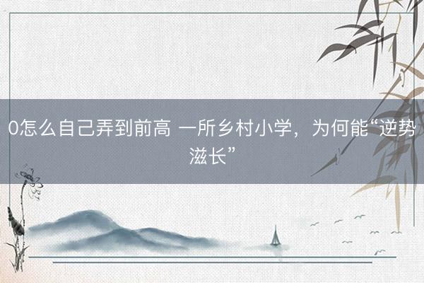0怎么自己弄到前高 一所乡村小学，为何能“逆势滋长”