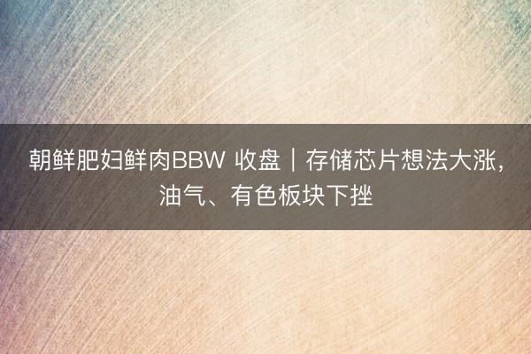 朝鲜肥妇鲜肉BBW 收盘｜存储芯片想法大涨，油气、有色板块下挫