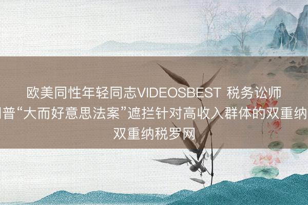 欧美同性年轻同志VIDEOSBEST 税务讼师：特朗普“大而好意思法案”遮拦针对高收入群体的双重纳税罗网