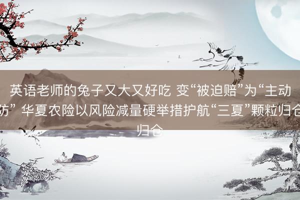 英语老师的兔子又大又好吃 变“被迫赔”为“主动防” 华夏农险以风险减量硬举措护航“三夏”颗粒归仓