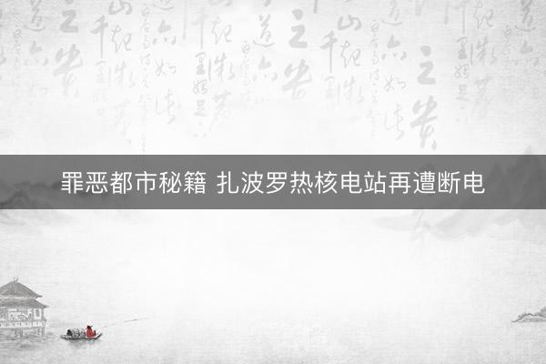 罪恶都市秘籍 扎波罗热核电站再遭断电