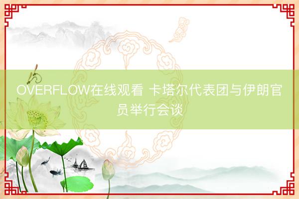 OVERFLOW在线观看 卡塔尔代表团与伊朗官员举行会谈