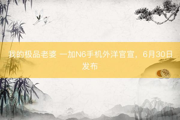 我的极品老婆 一加N6手机外洋官宣,6月30日发布
