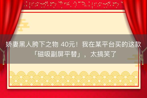 娇妻黑人胯下之物 40元!我在某平台买的这款「磁吸副屏平替」,太搞笑了