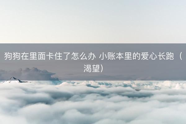狗狗在里面卡住了怎么办 小账本里的爱心长跑（渴望）