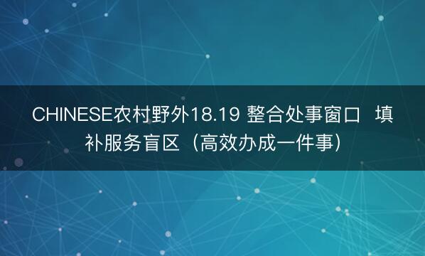 CHINESE农村野外18.19 整合处事窗口  填补服务盲区（高效办成一件事）