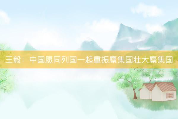 王毅：中国愿同列国一起重振麇集国壮大麇集国
