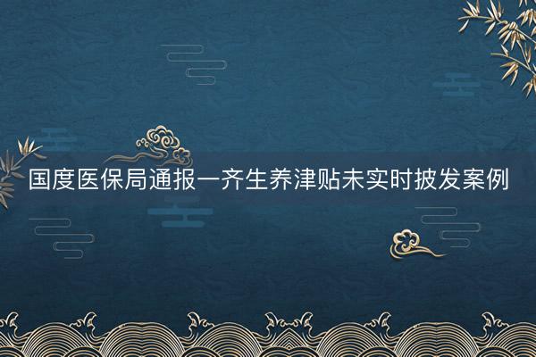 国度医保局通报一齐生养津贴未实时披发案例