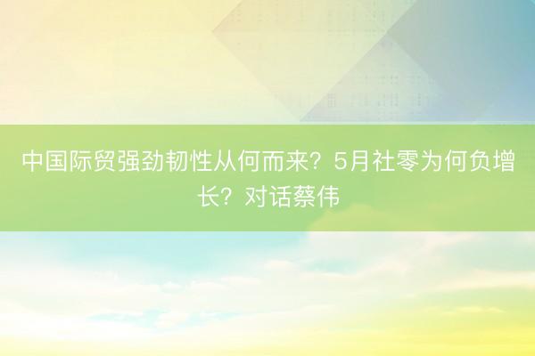 中国际贸强劲韧性从何而来？5月社零为何负增长？对话蔡伟